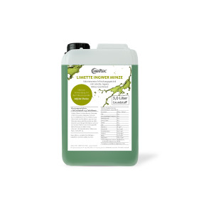 Limette Ingwer Minze-Konzentrat Limette Ingwer Minze-Konzentrat