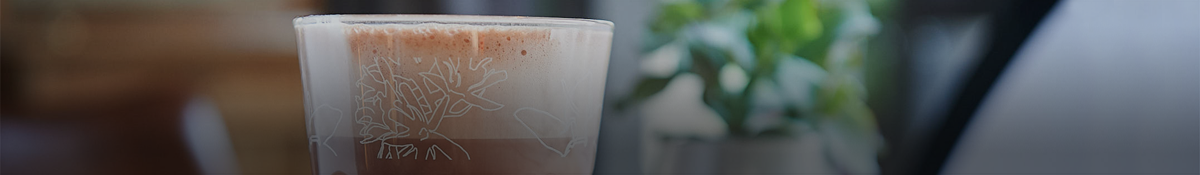 Kakaopulver kaufen | Kaffee Partner Shop